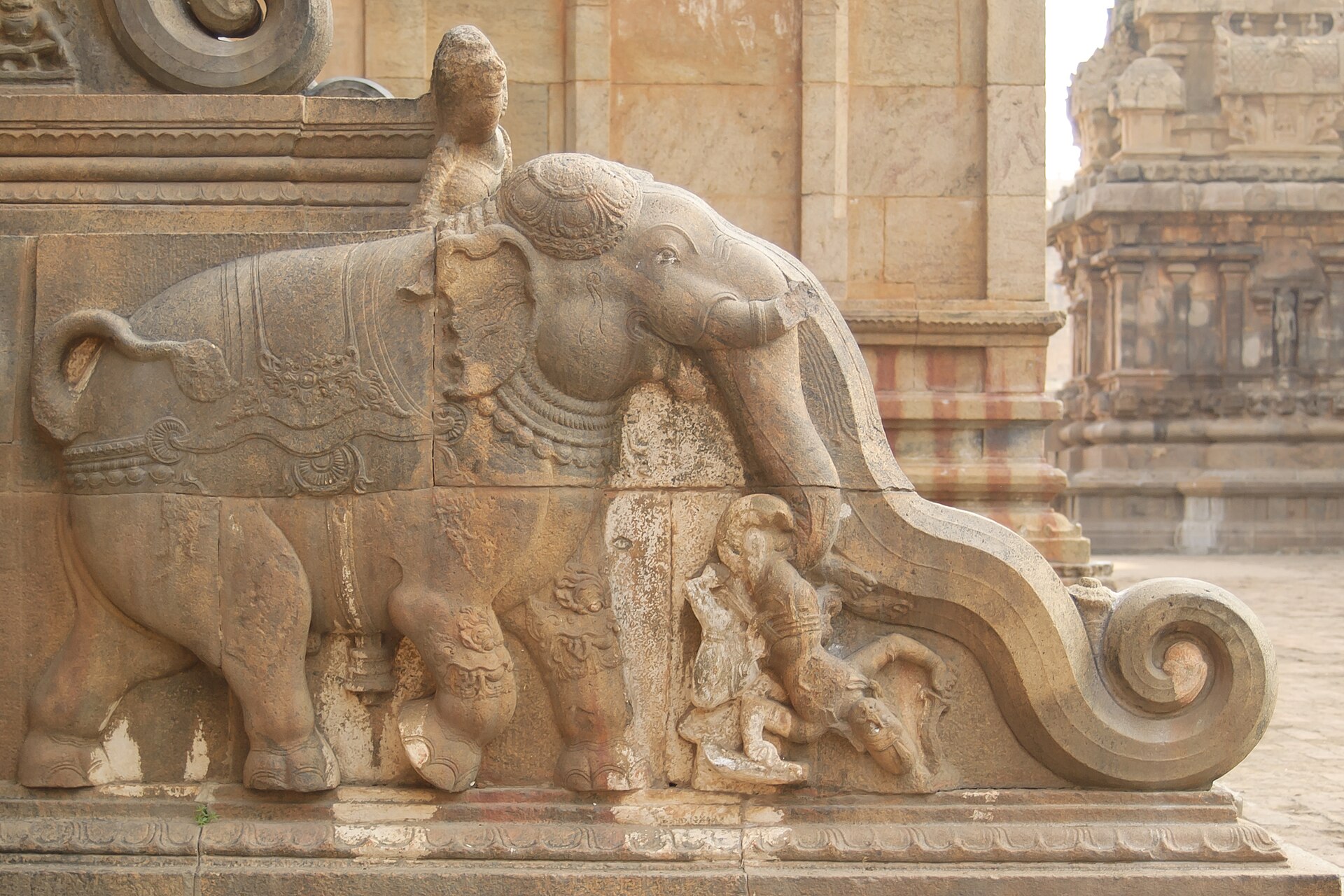 Brihadisvara Temple Relief | Indian Press Ancient stone carving depicts elephants and figures at the Brihadisvara Temple, a historic temple complex in Thanjavur.