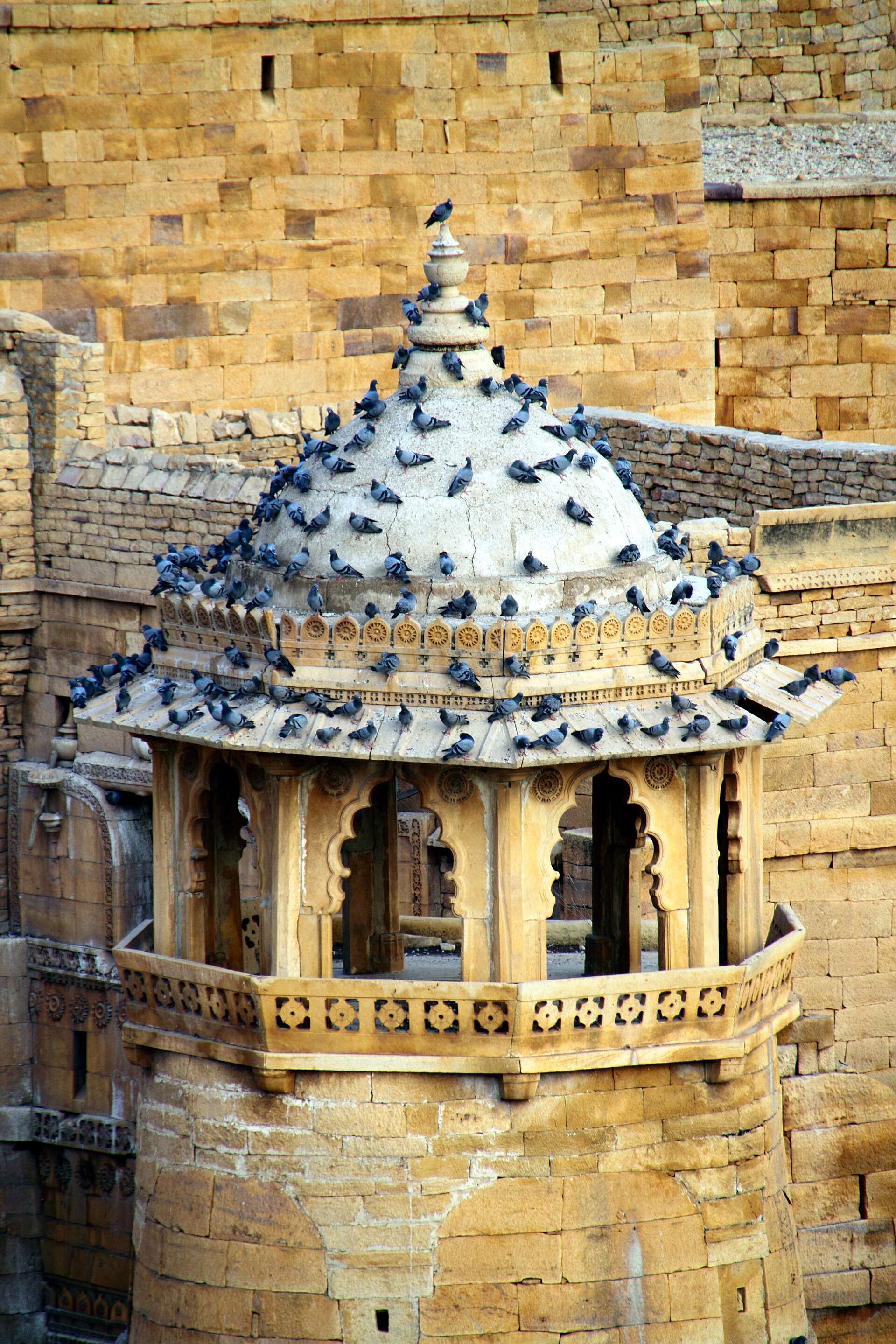 Bairisal Borj (Jaisalmer Fort), Jaisalmer, Jodhpur, Rajasthan, India (2012)